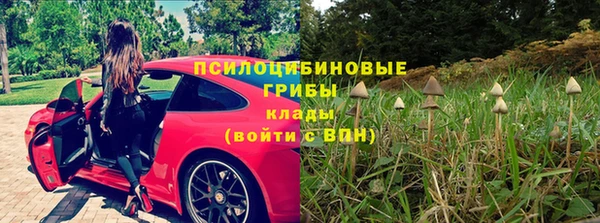 прущие грибы Нягань