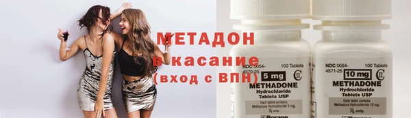 прущие грибы Нягань
