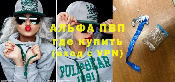 прущие грибы Нягань