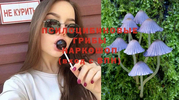 прущие грибы Нягань