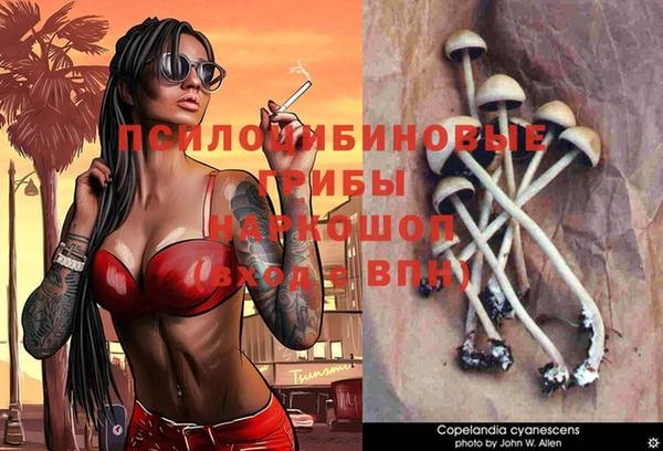 Альфа ПВП Нязепетровск