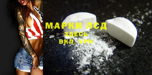 прущие грибы Нягань